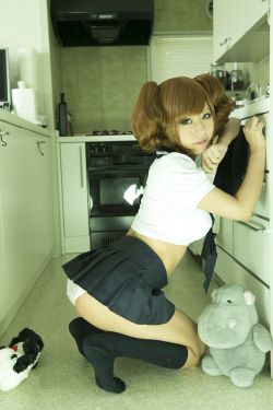 野狼disco撒贝宁